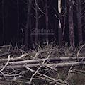JAUZAS THE SHINING & VICTORIA LUKAS - Shadows (inc Ekman & Orgue Electronique remixes)  (LAST KNOWN TRAJECTORY)